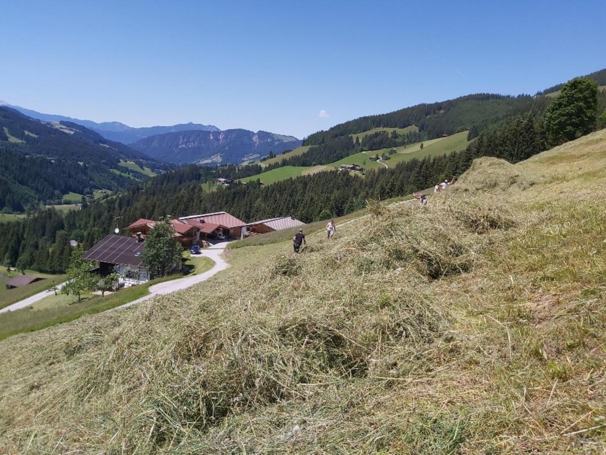 Praedastenhof Auffach Zewnętrze zdjęcie